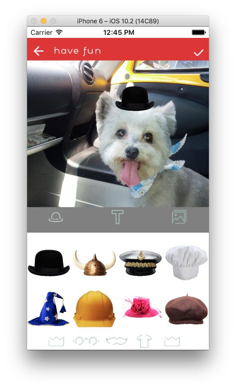 Pet Pixie — photo fun