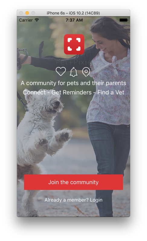 Pet Pixie — welcome tour