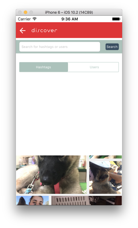 Pet Pixie — discover and search