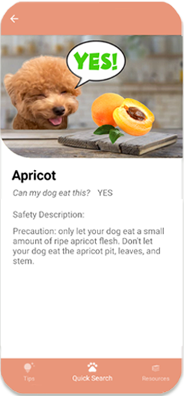 Safe4Dogs — Apricot: yes, with precautions
